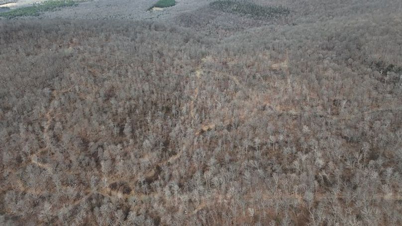 stone8020260307_0051