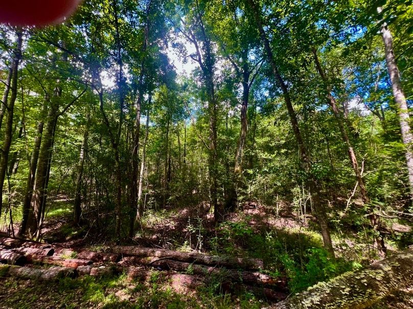 602919B4-BF99-48CA-9270-E7641EDB28CE_1_201_a