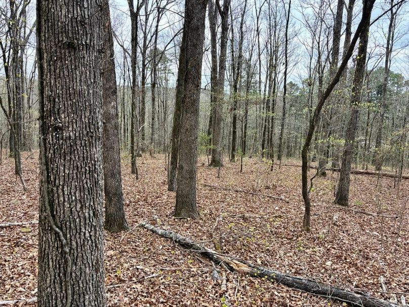 8820D10B-C49B-4E25-8140-F393C81AD502_1_201_a