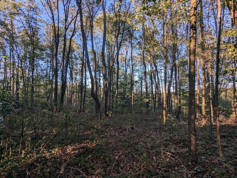 PXL_20251001_220147989