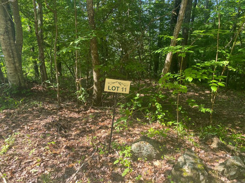 Macon 3.38 Bloodworth-13