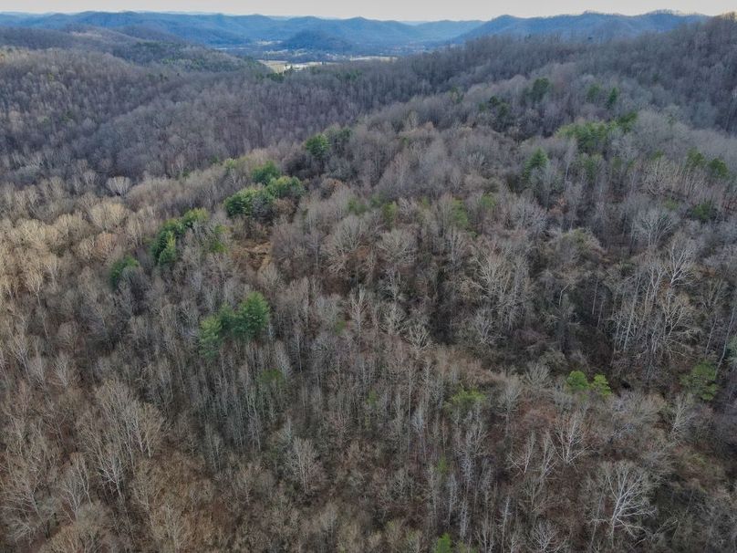 010 aerial view over the main trail system-2