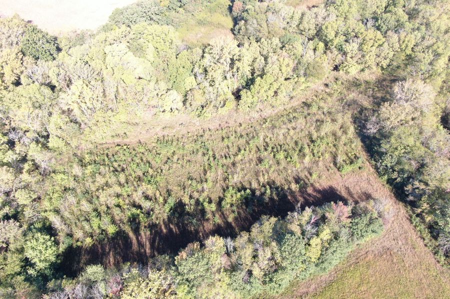 DJI_0828