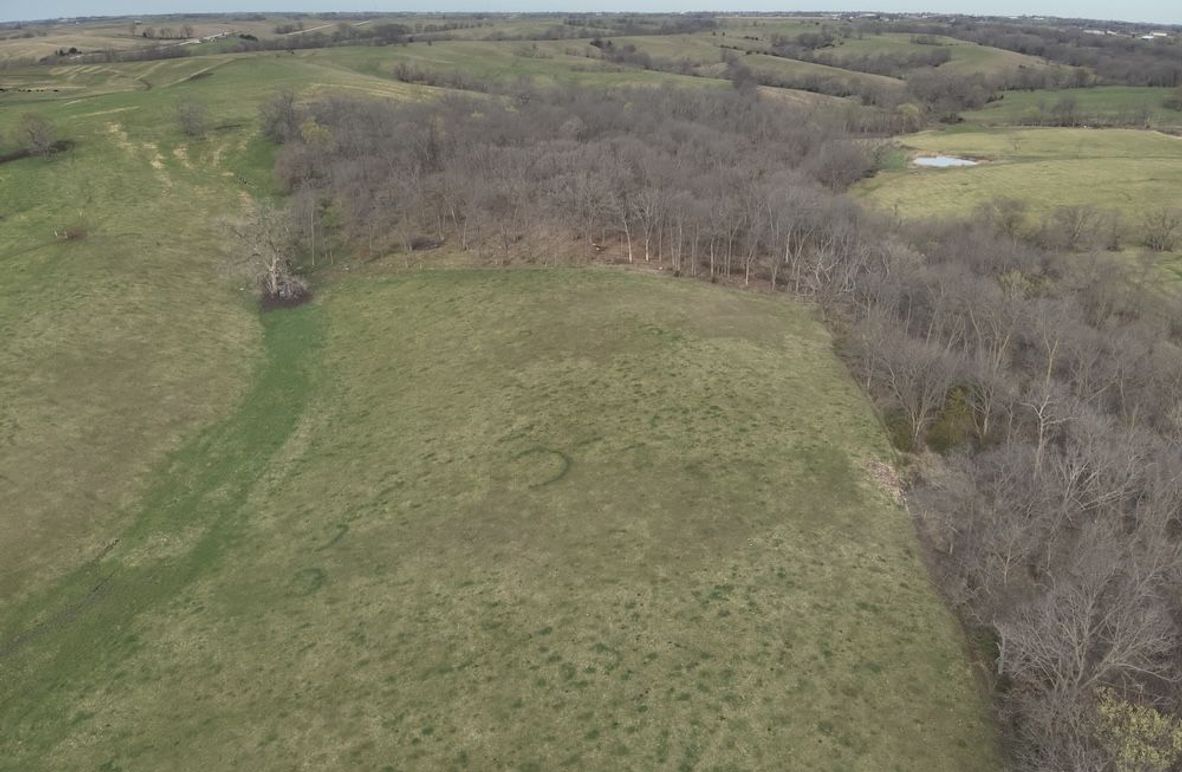 DJI_20250403090714_0005_V