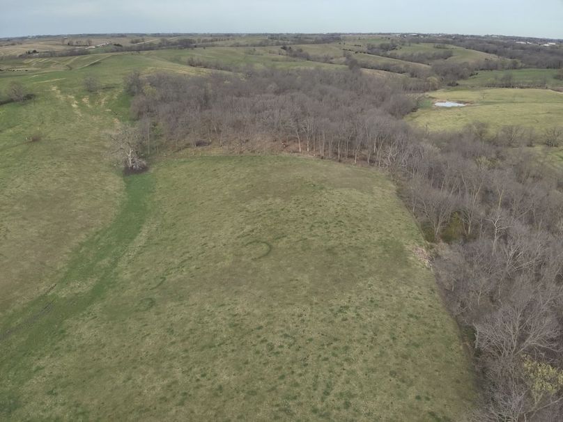 DJI_20250403090714_0005_V