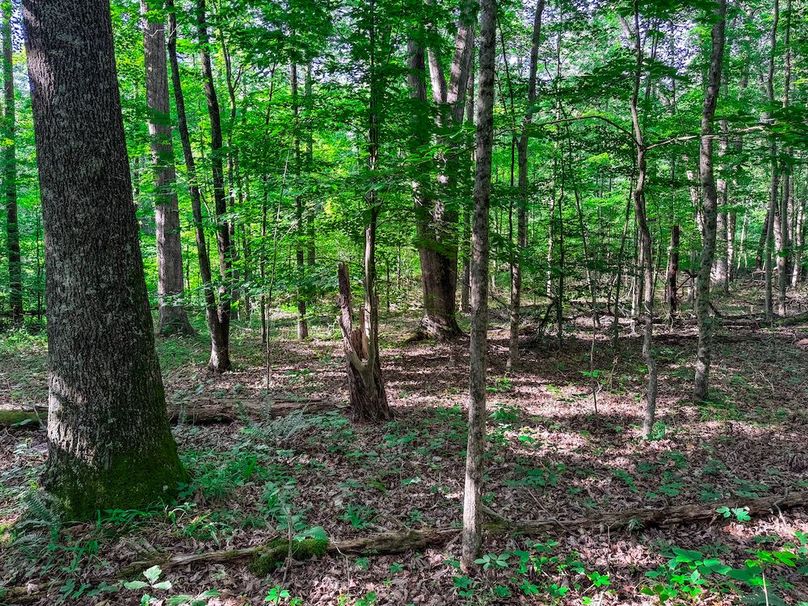 Ritchie, WV 20 AC Thompson-11