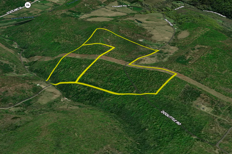 Chemung_140.13_Baumunk Land ID Map 5