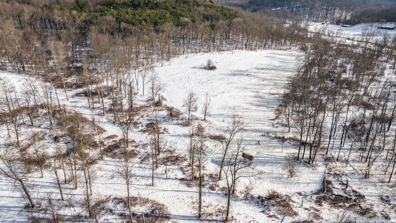 16-z 18408 Brushy011