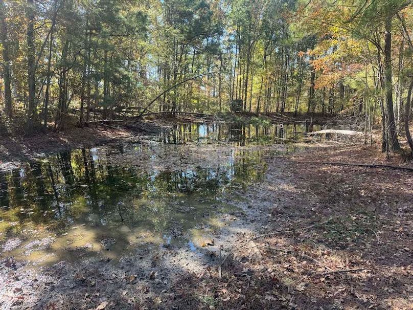 jeff 5020251111_0311