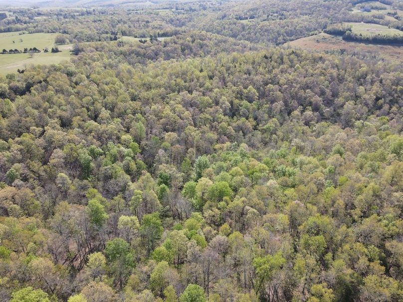 DJI_0316
