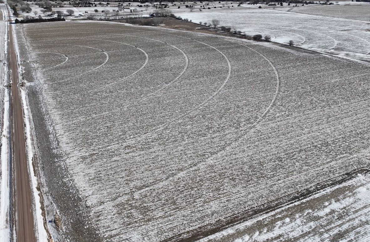 Copy of dji_fly_20250110_134342_0166_1736540874311_photo