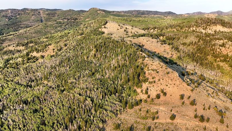 DJI_20250726190233_0266_D