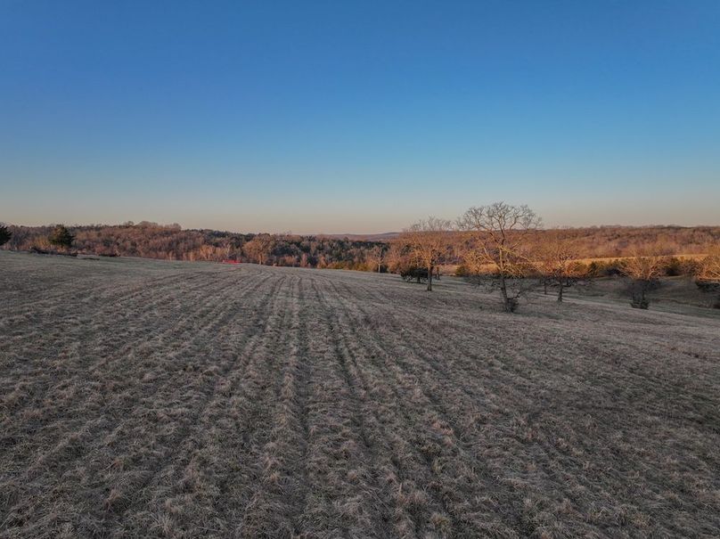 DJI_20250311074231_0163_D