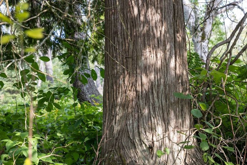 Mackinac 320 Copenhaver-67