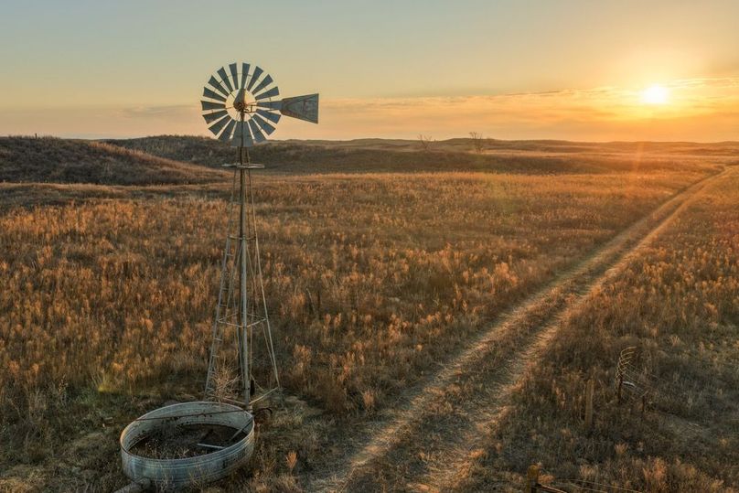 DJI_20260311082141_0529_D