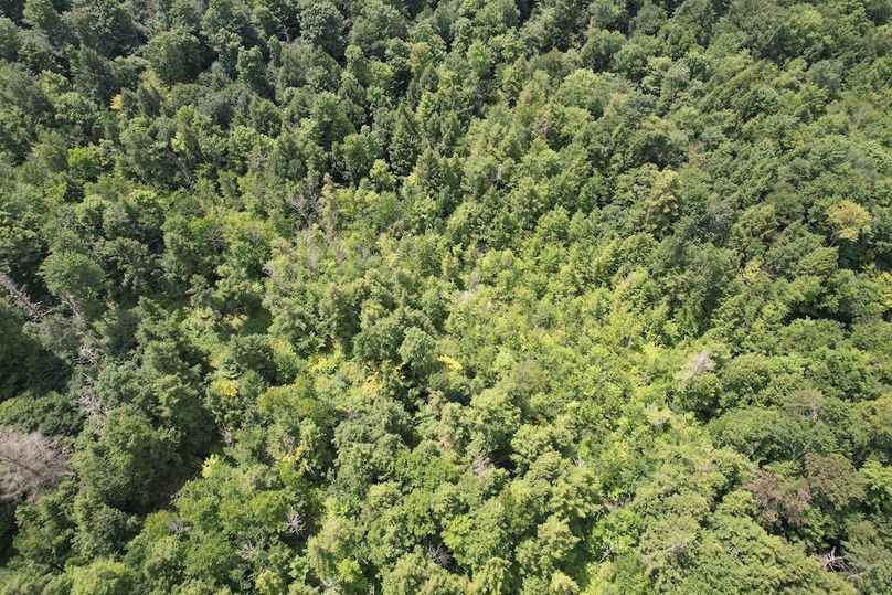 Oswego_133.72_Middleton_Photos_47