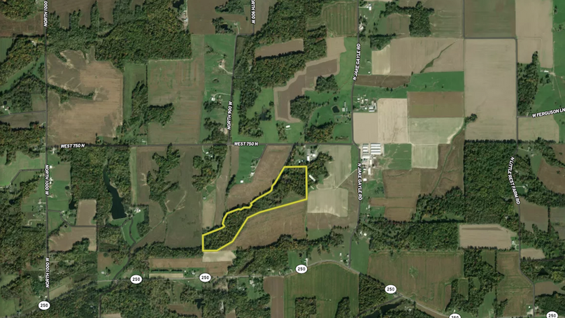 Screenshot 2026-02-09 215850