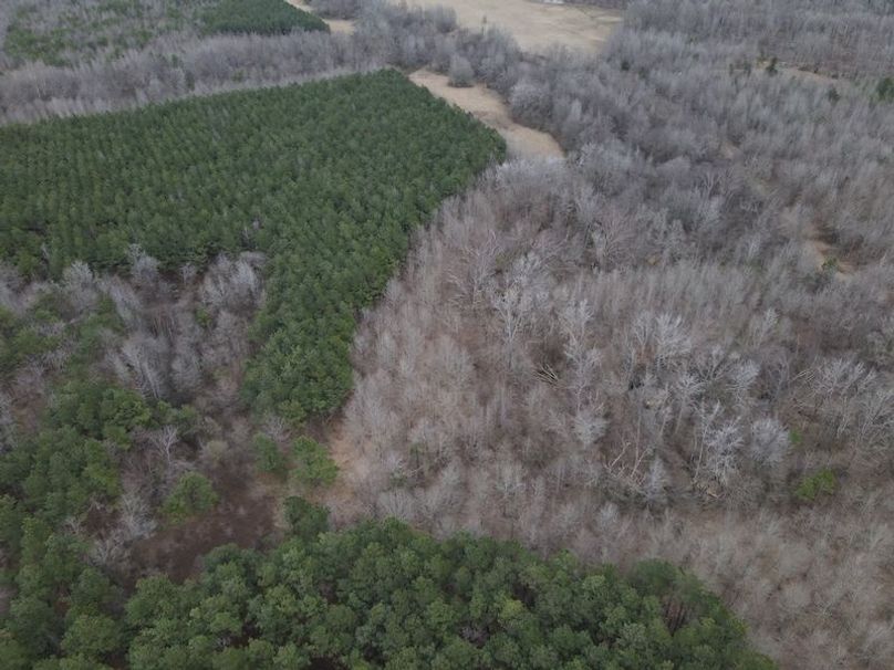 DJI_0036