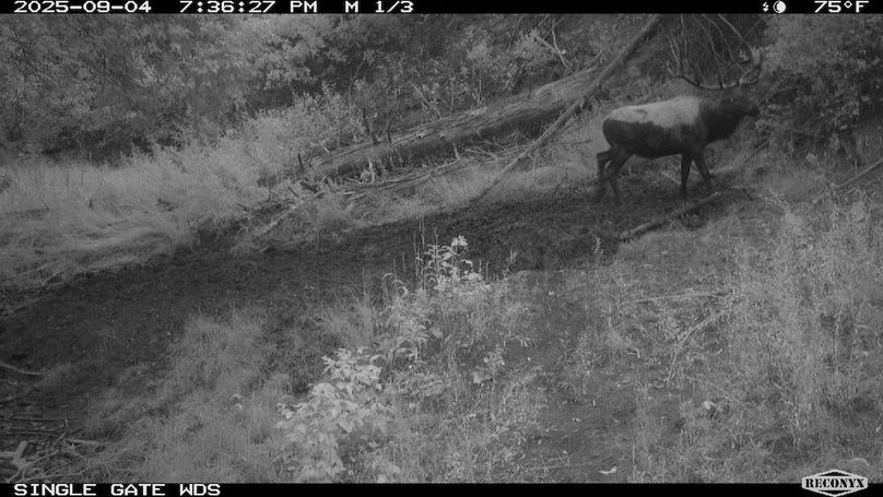 E242BF12-0CEB-4458-B5D9-AAE216EC5723