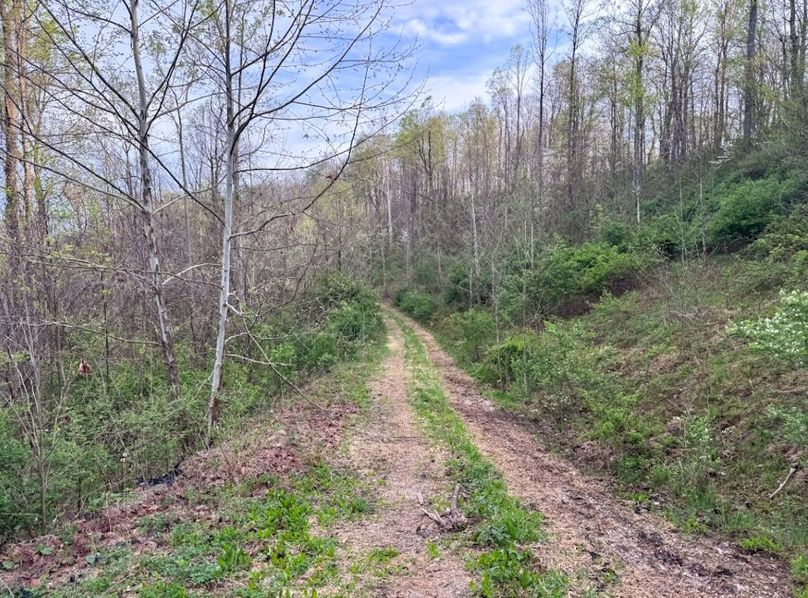 Screenshot 2026-04-21 at 11.37.02 AM