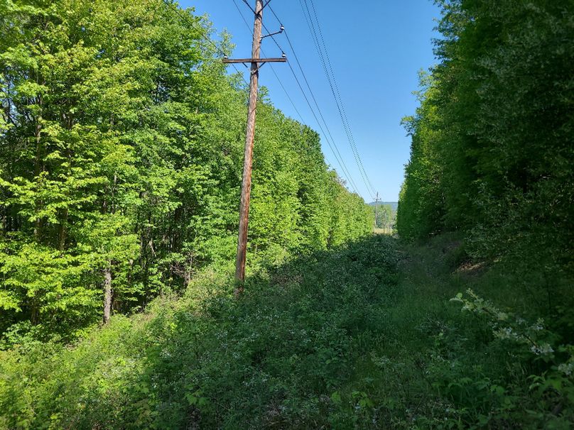 photo_f54bb526-5784-447b-bee6-531f89902462