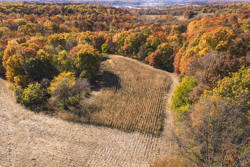 DJI_20251107133151_0094_D-HDR