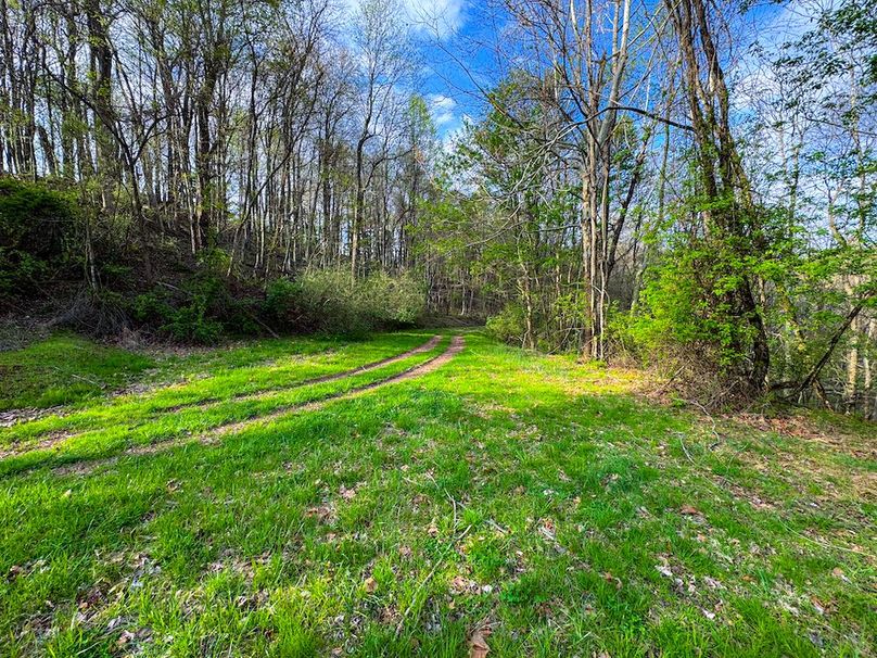 Calhoun, WV 132.84 AC Szegi 2-121