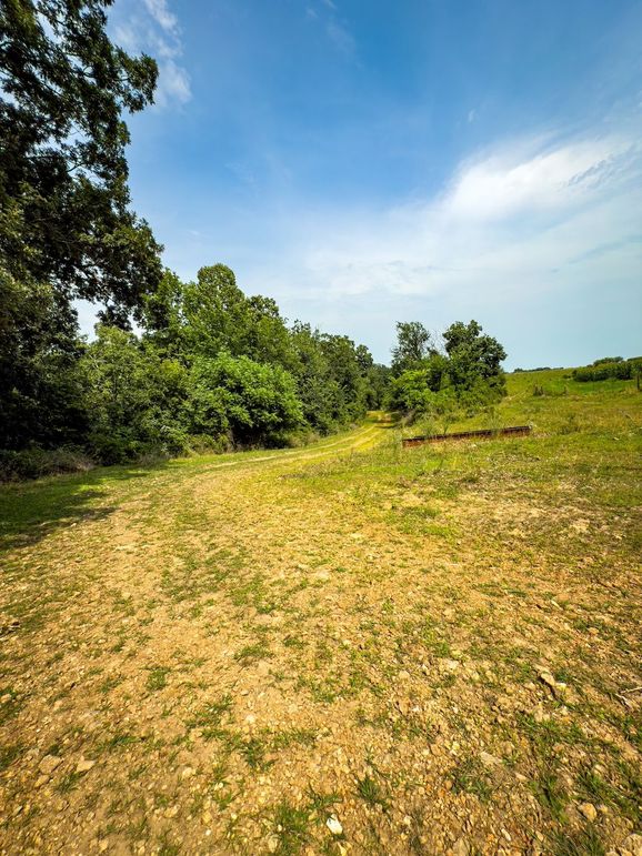 New Albin 8_8 edits-02