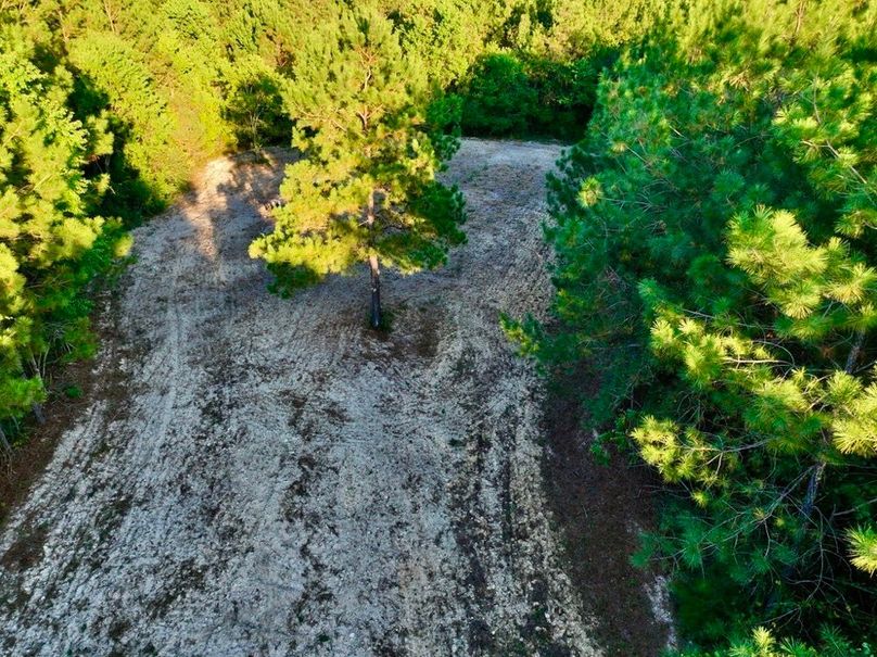 290ECCDE-E813-4A51-9AF3-95F06878D1D0_1_105_c-2