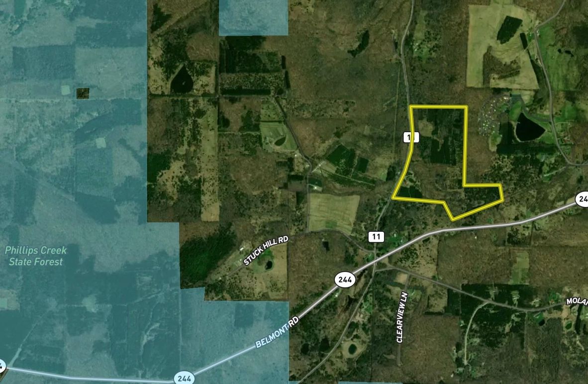 Screenshot 2025-03-15 at 9.01