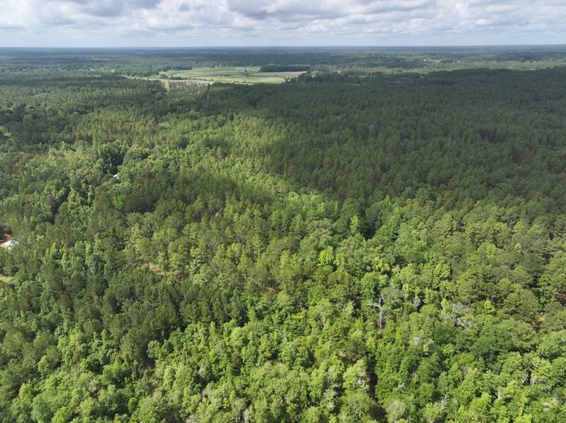 dji_fly_20250612_101918_0108_1750261383834_photo
