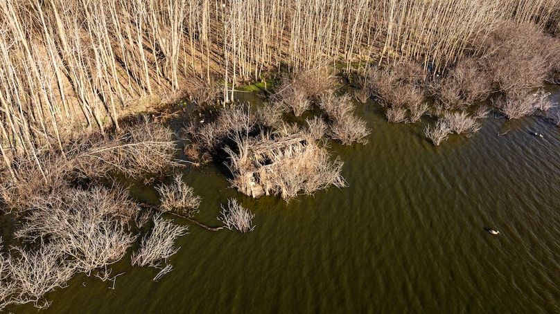 St Clair IL 263.95 Featured_Pro Photo-13