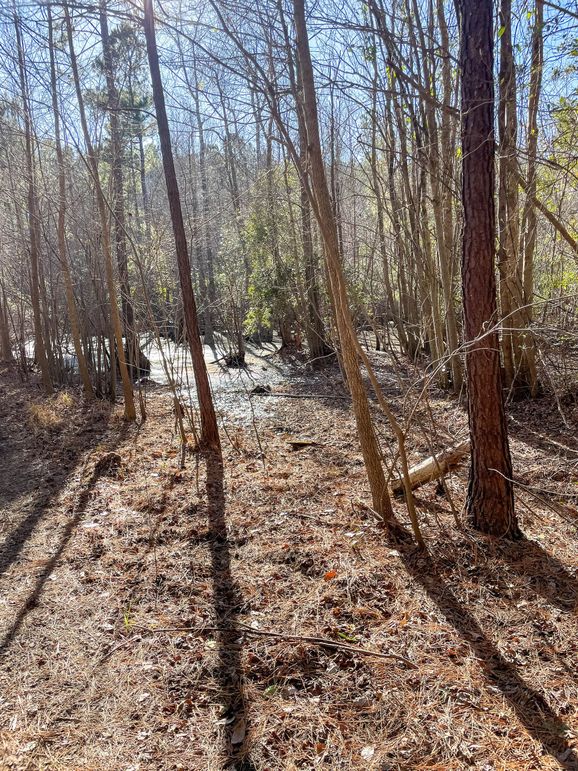 Pender NC 382 - Edits-59