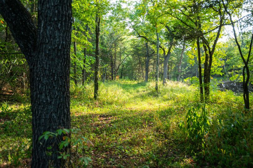 Webster MO 106 Featured_Pro Photo-31