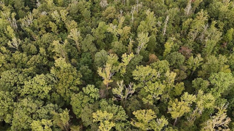 DJI_20250814092200_0067_D