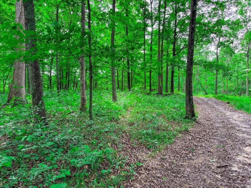 Wirt, WV 137.45 AC Full-23