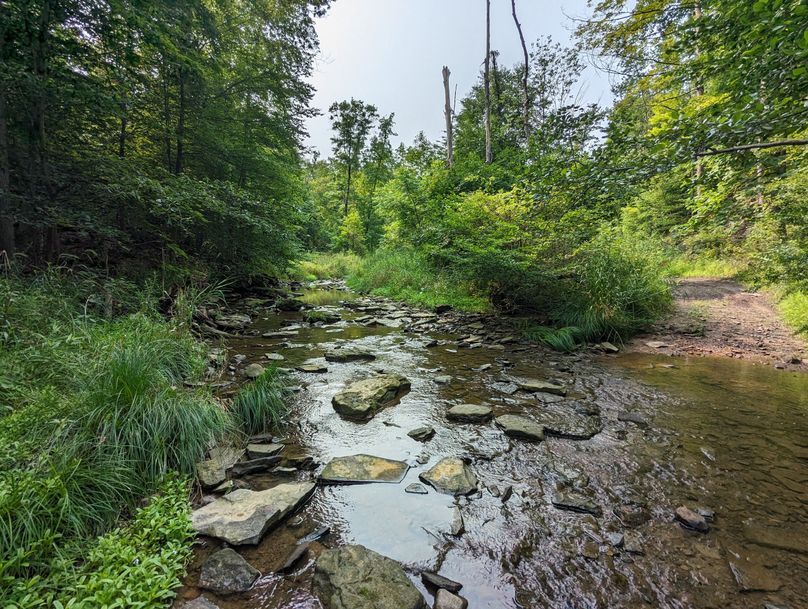 PXL_20230801_144448961