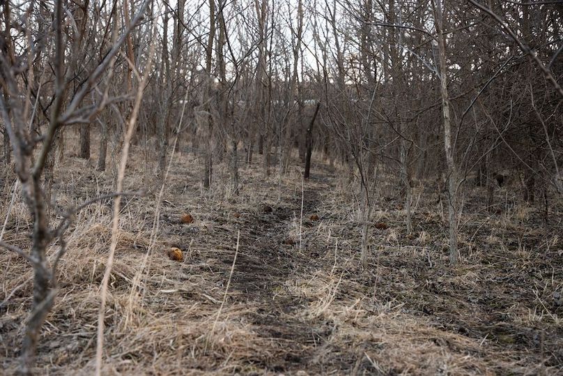 MONTGOMERY CO IA 156.78_39