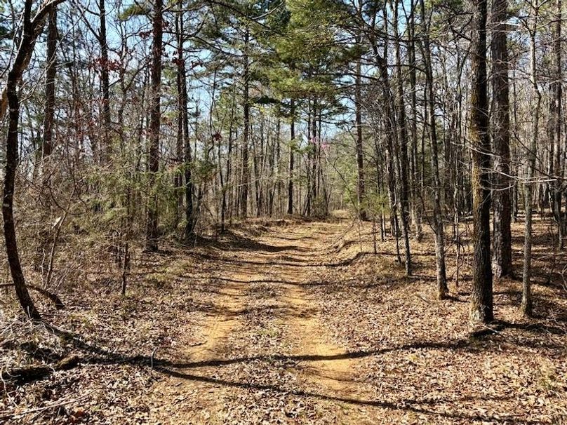 2B943D86-97B3-41B7-BD00-C5A70F6324E6_1_105_c