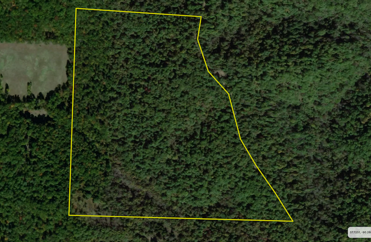 Screenshot 2024-07-12 at 12.54.38 PM