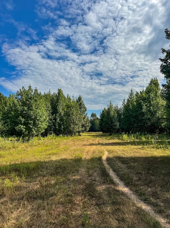 39 Jefferson 117ac - bethard-33