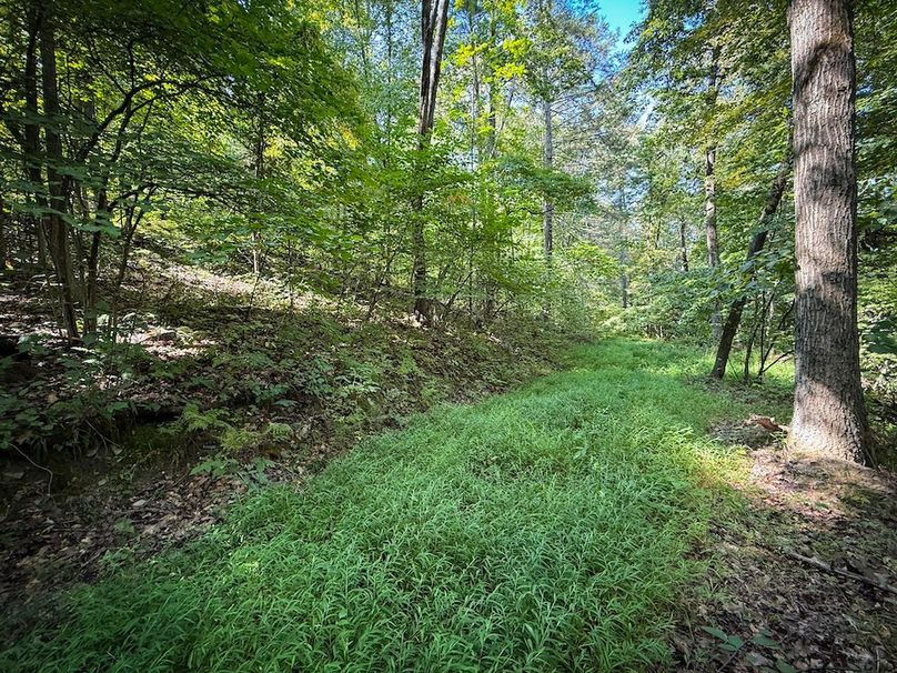 Tioga NY 86.705 Capwell Photos 30