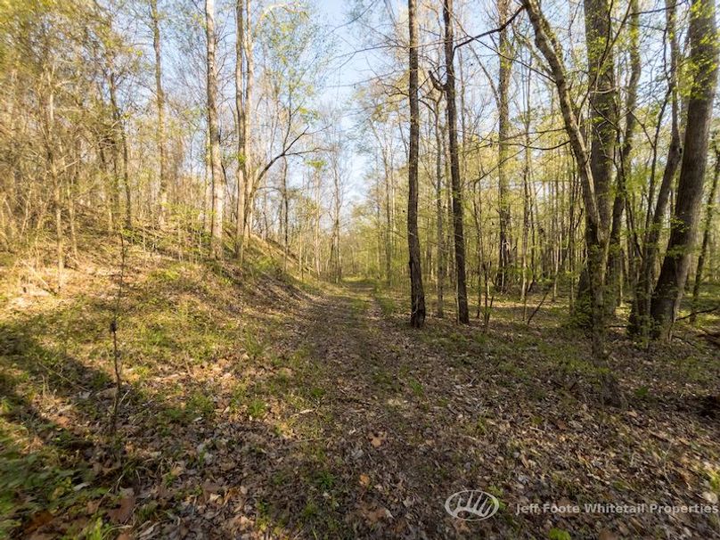 Warren Co - 45.5 - Bockman-79