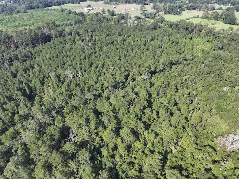 dji_fly_20250818_095044_0361_1755614659451_photo