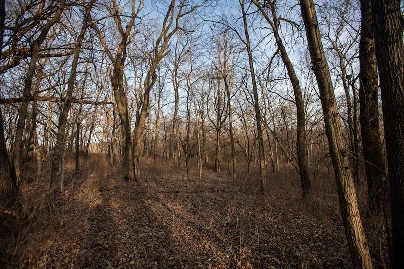 PAGE CO IA 130+_-_42