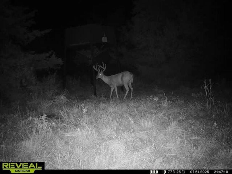 865509050410723-100-2-07312025214727-v-w1010014