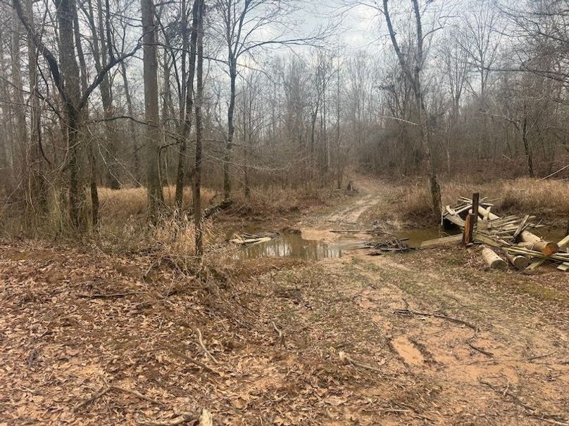 311 new20260217_0471