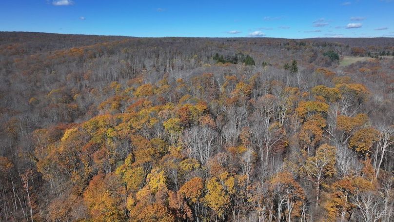 Somerset, 10.91, Tinkey-07