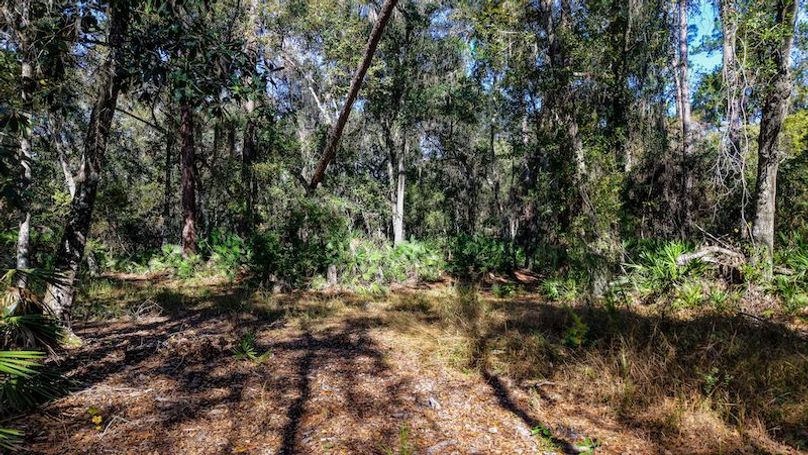 Copy of DJI_20251204000854_0730_D