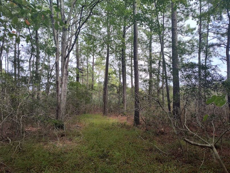 IMG_20250830_123311233_HDR